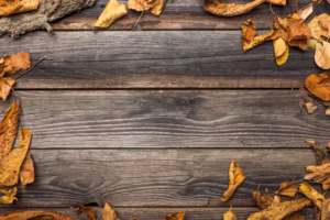 Tractor & Skid Steer Attachments